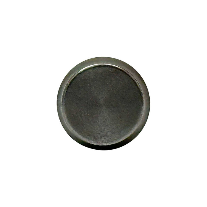 Valve Lifter