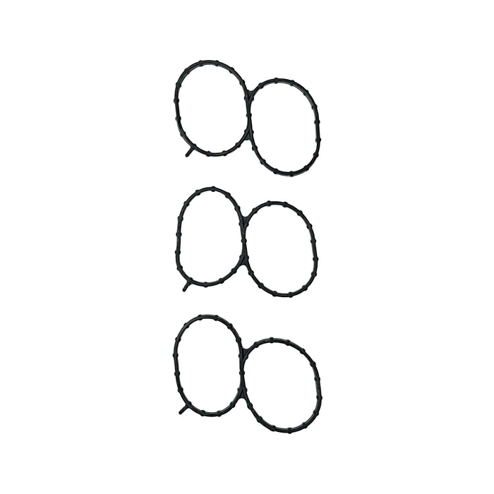 Fuel Injection Plenum Gasket