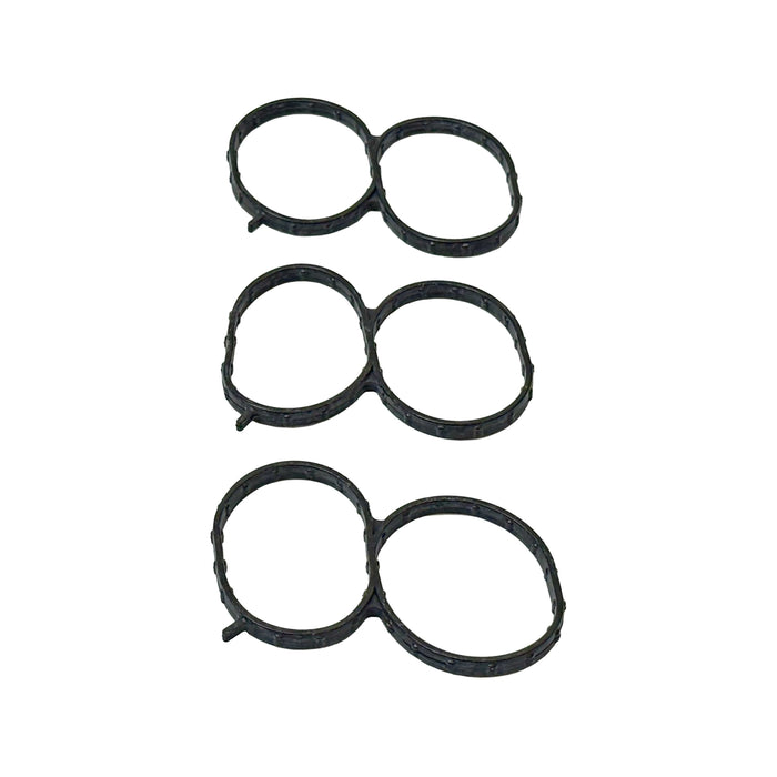 Fuel Injection Plenum Gasket