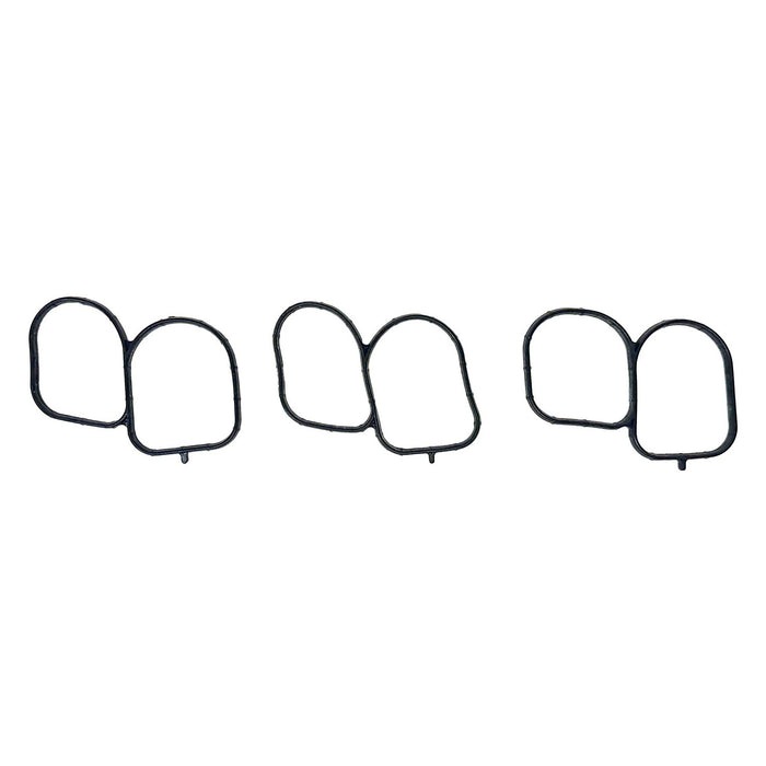 Fuel Injection Plenum Gasket