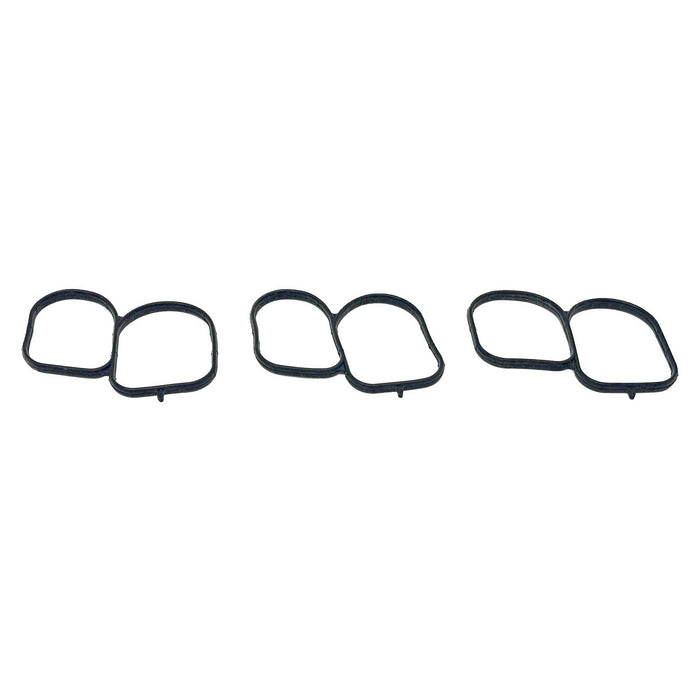 Fuel Injection Plenum Gasket