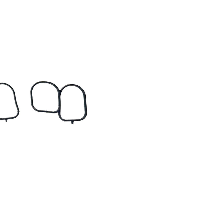 Fuel Injection Plenum Gasket