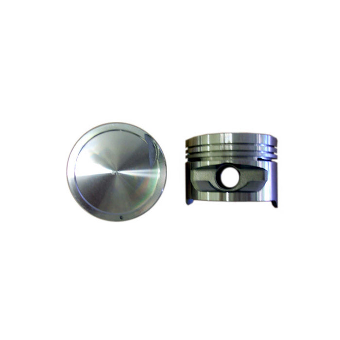 Piston Set (Oversizes Available)