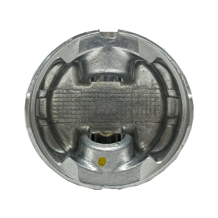 Piston Set (Oversizes Available)