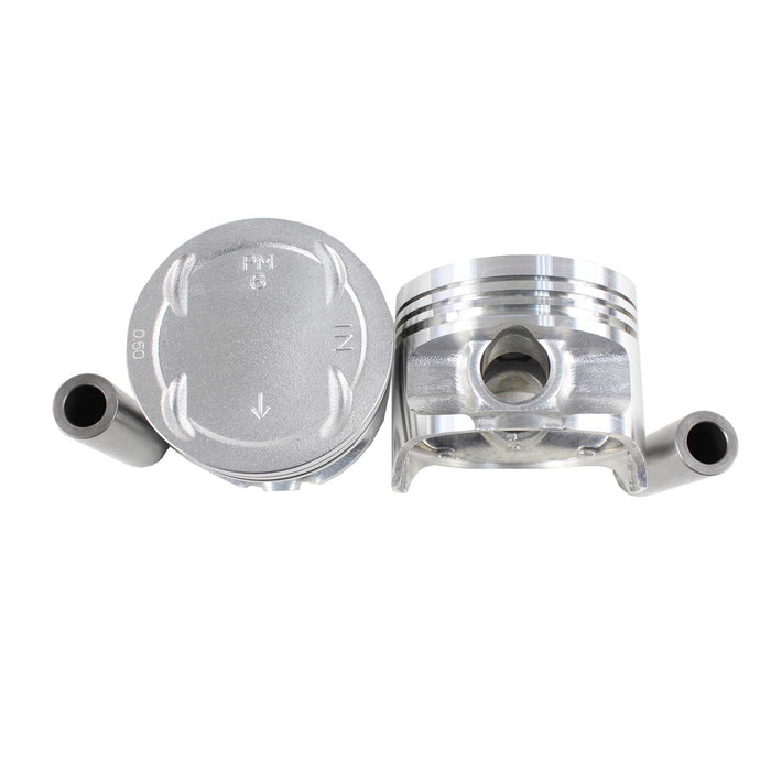 Piston Set (Oversizes Available)