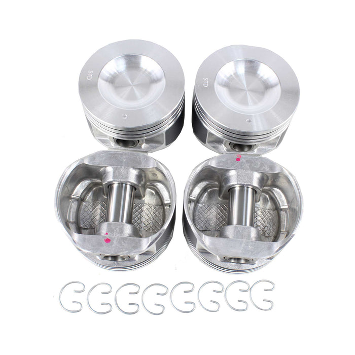Piston Set (Oversizes Available)