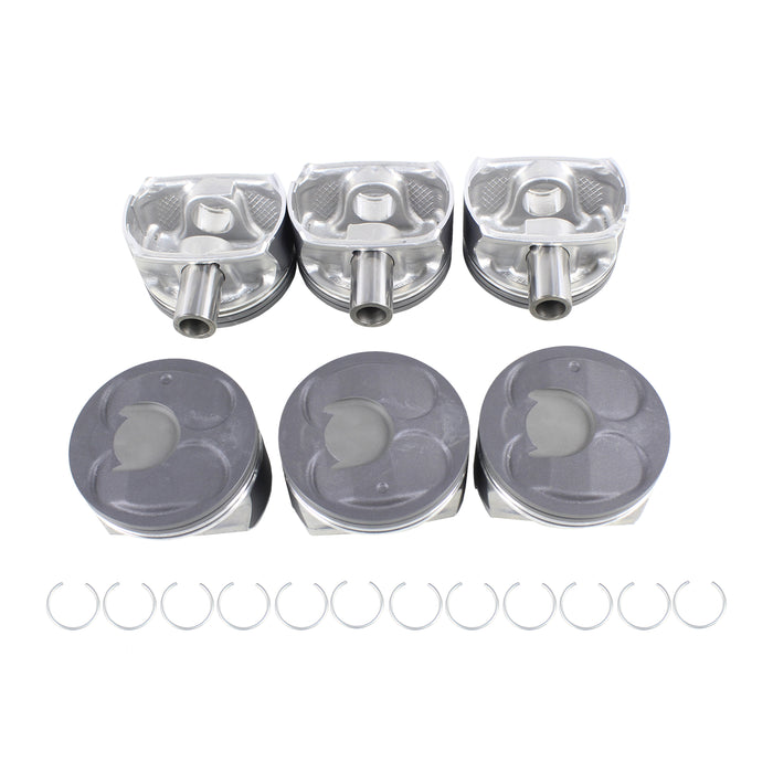 Piston Set w/ Rings