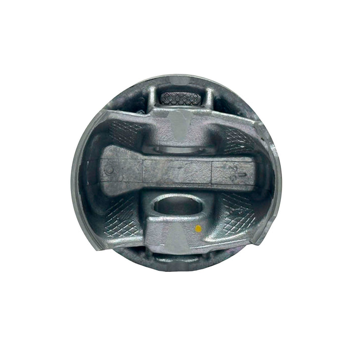 Piston Set  (Oversizes Available)