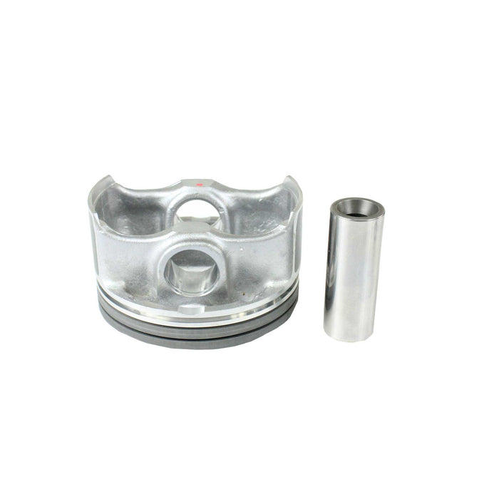 Piston Set (Oversizes Available)