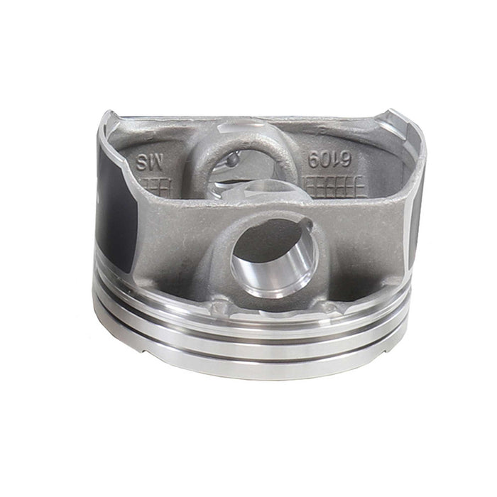 Piston Set (Oversizes Available)