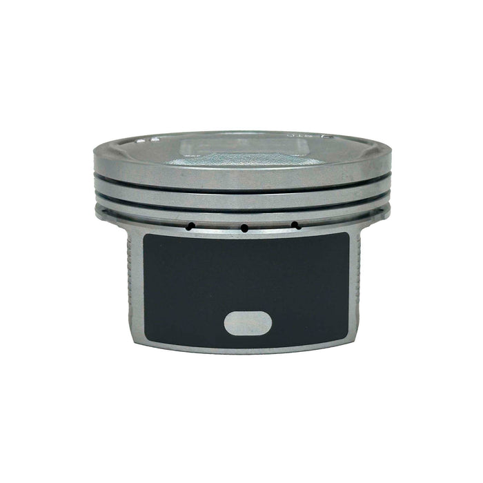 Piston Set  (Oversizes Available)
