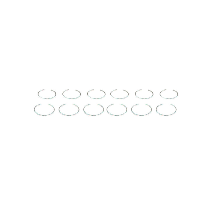 Piston Set (Oversizes Available)