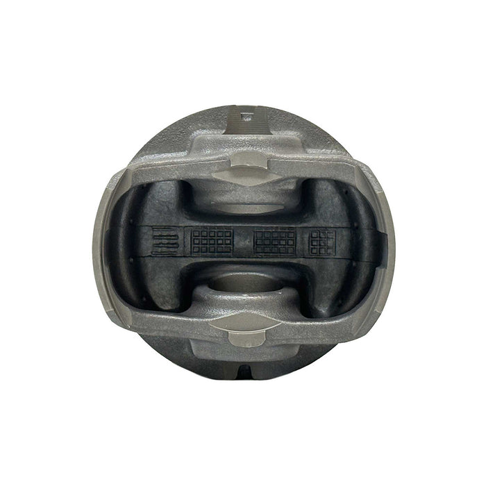 Piston Set (Oversizes Available)