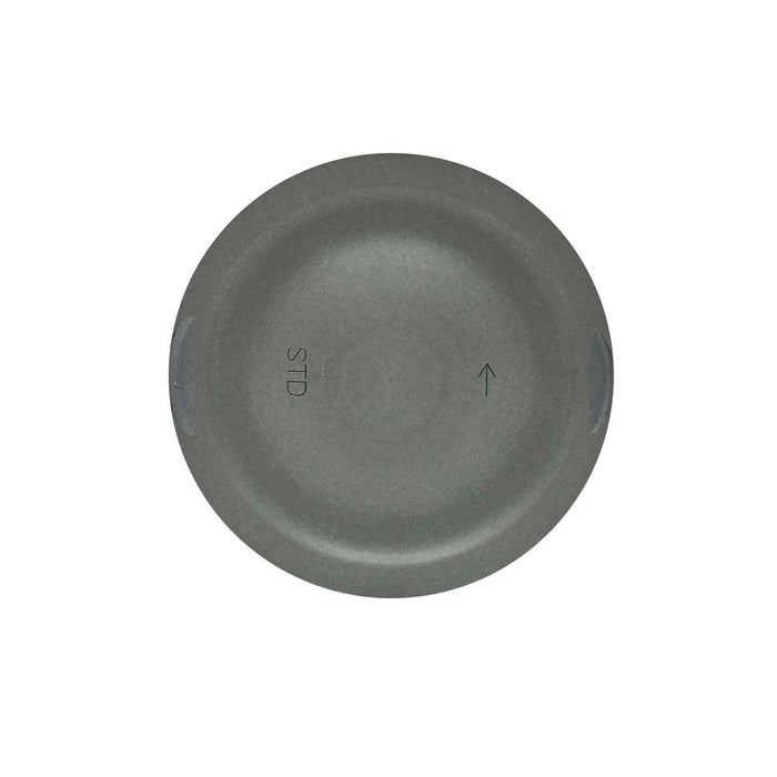 Piston Set (Oversizes Available)