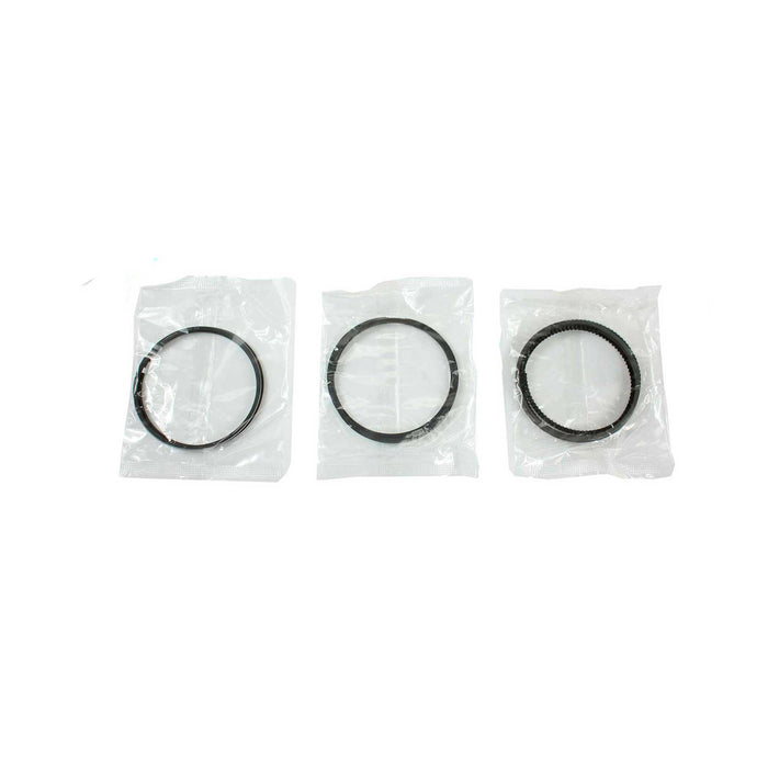 Engine Piston and Ring Kit