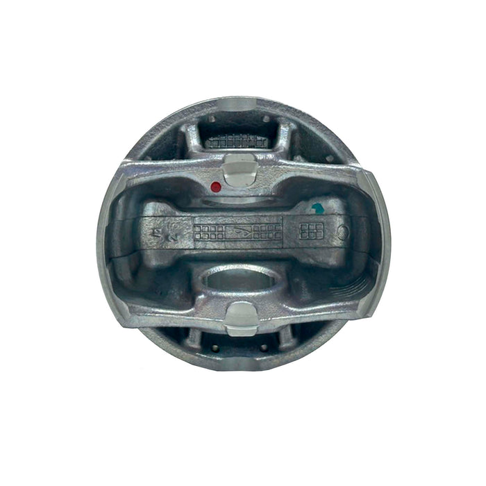 Piston Set  (Oversizes Available)