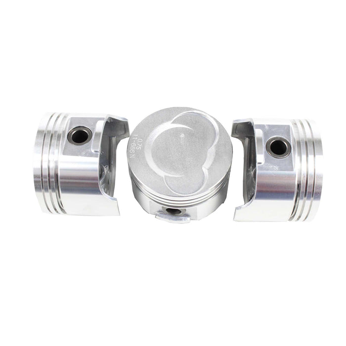 Piston Set (Oversizes Available)