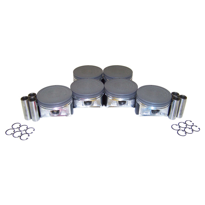 Piston Set (Oversizes Available)