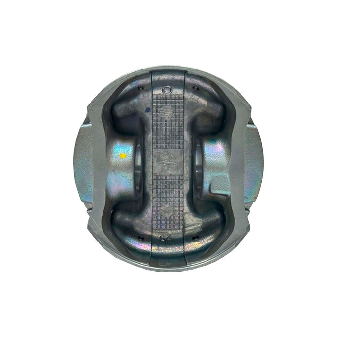 Piston Set (Oversizes Available)