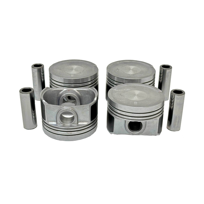 Piston Set w/ Rings