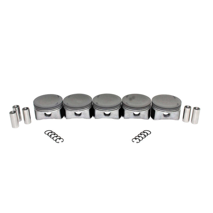 Piston Set (Oversizes Available)