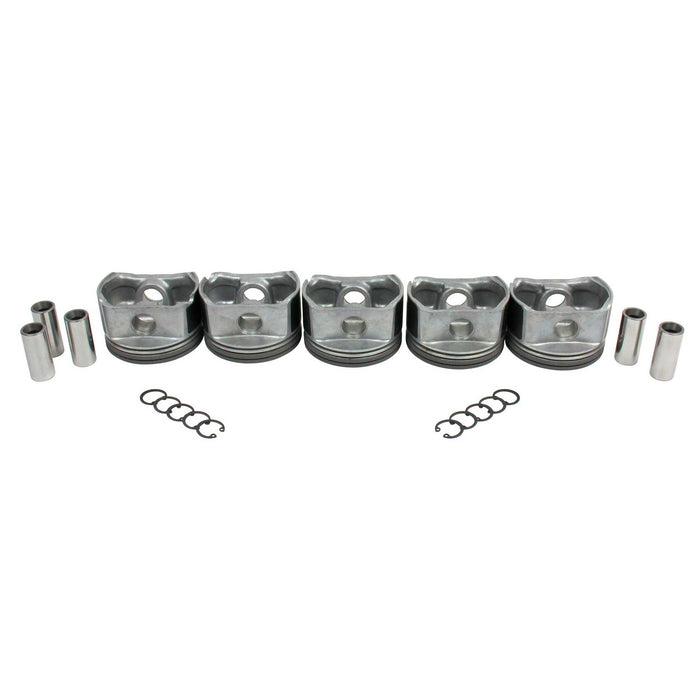 Piston Set (Oversizes Available)
