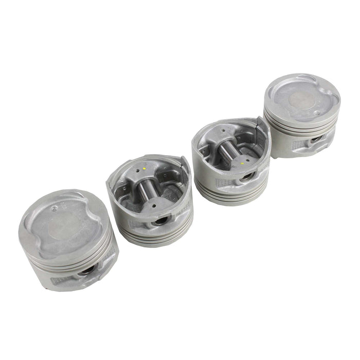 Piston Set (Oversizes Available)