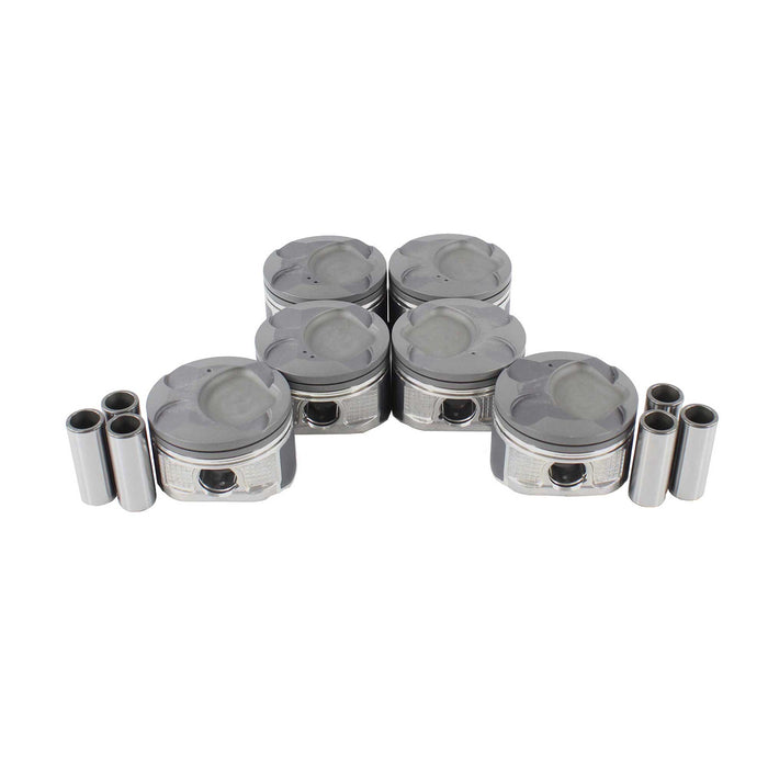 Piston Set (Oversizes Available)