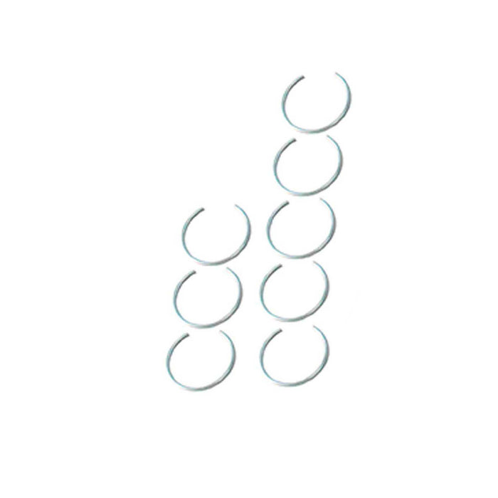 Piston Set (Oversizes Available)