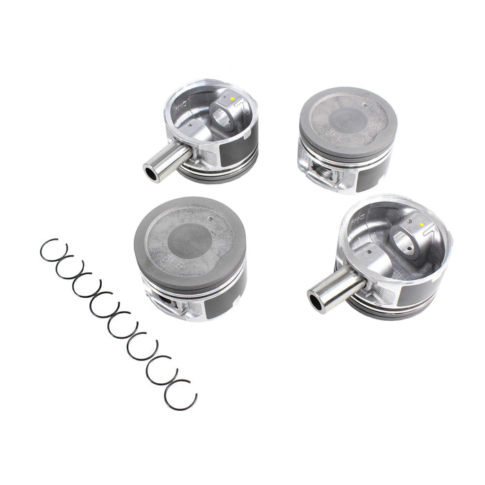 Piston Set (Oversizes Available)