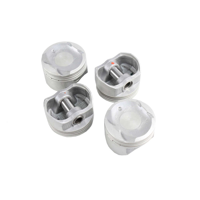 Piston Set (Oversizes Available)