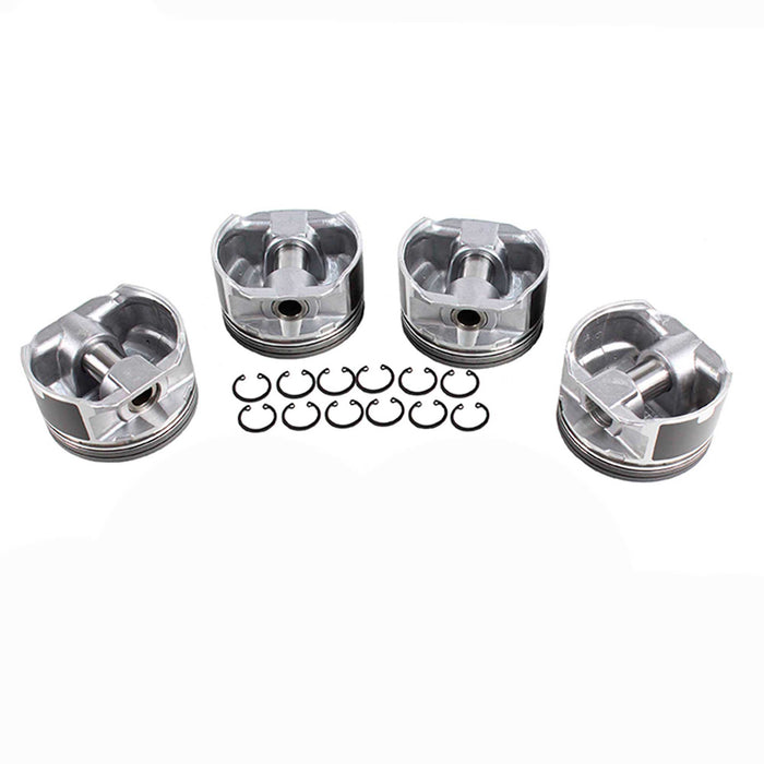Piston Set (Oversizes Available)