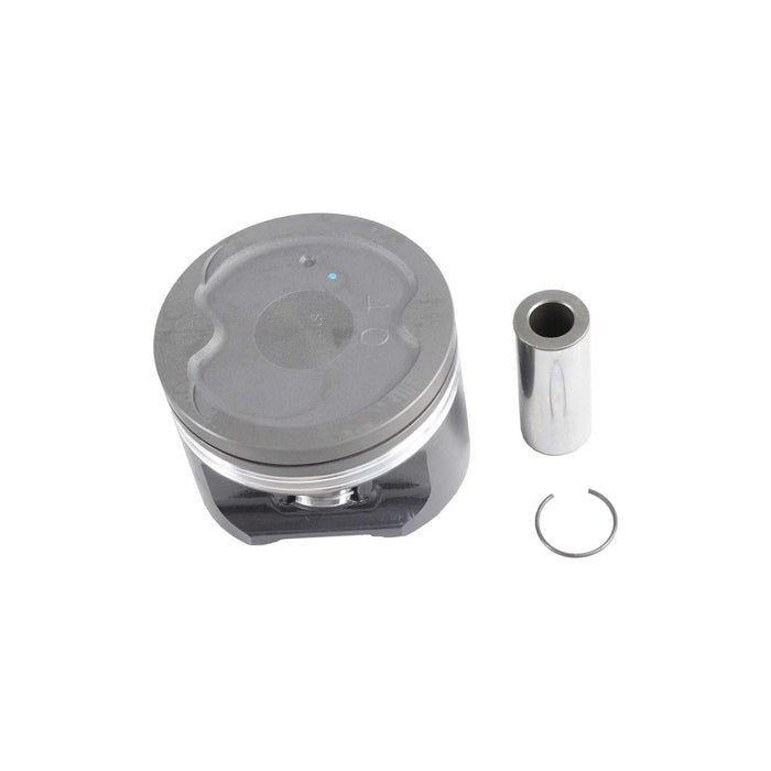 Piston Set (Oversizes Available)