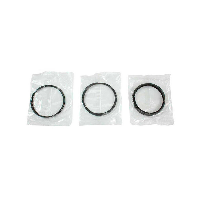 Engine Piston and Ring Kit