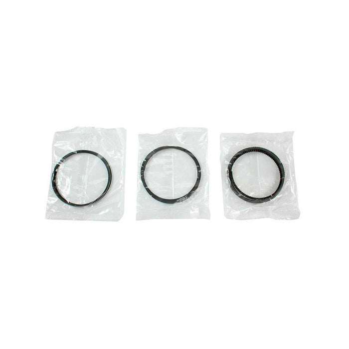 Engine Piston and Ring Kit