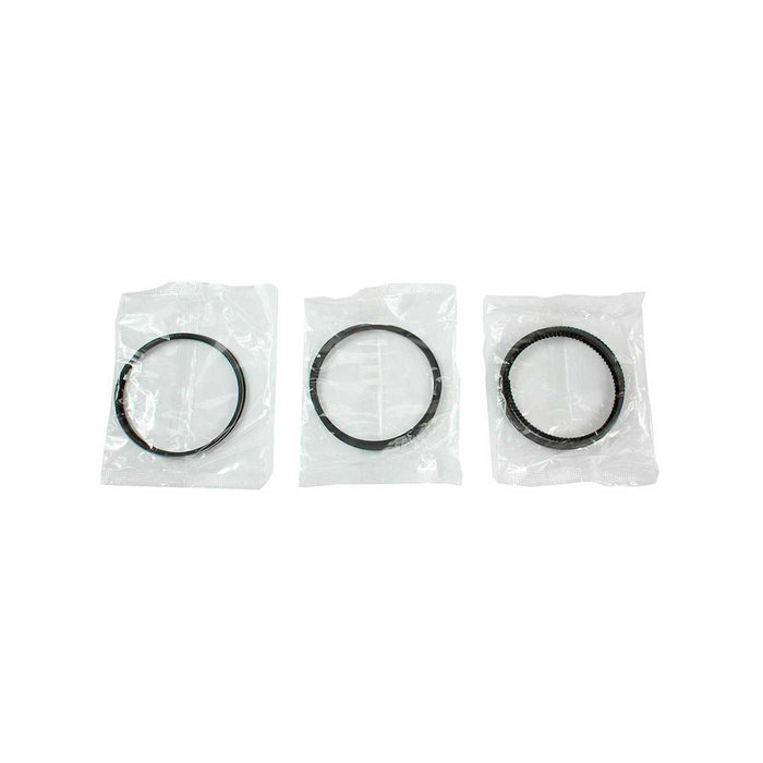 Engine Piston and Ring Kit
