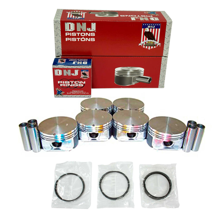 Piston Set w/ Rings