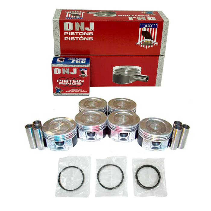 Piston Set w/ Rings