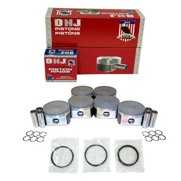 Piston Set w/ Rings