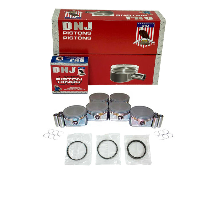 Piston Set w/ Rings