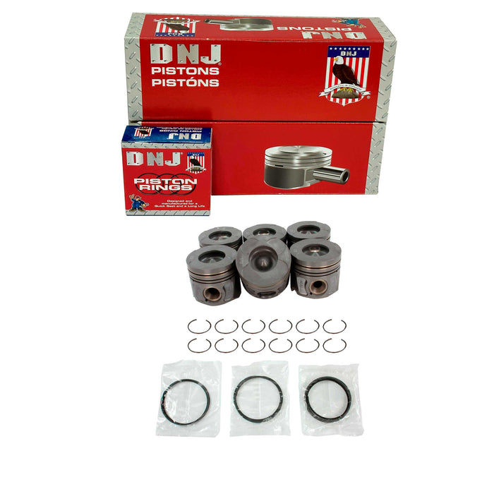 Engine Piston and Ring Kit