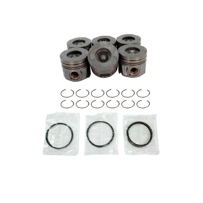 Engine Piston and Ring Kit