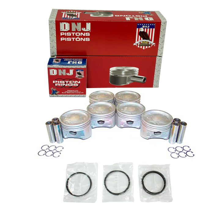 Piston Set w/ Rings