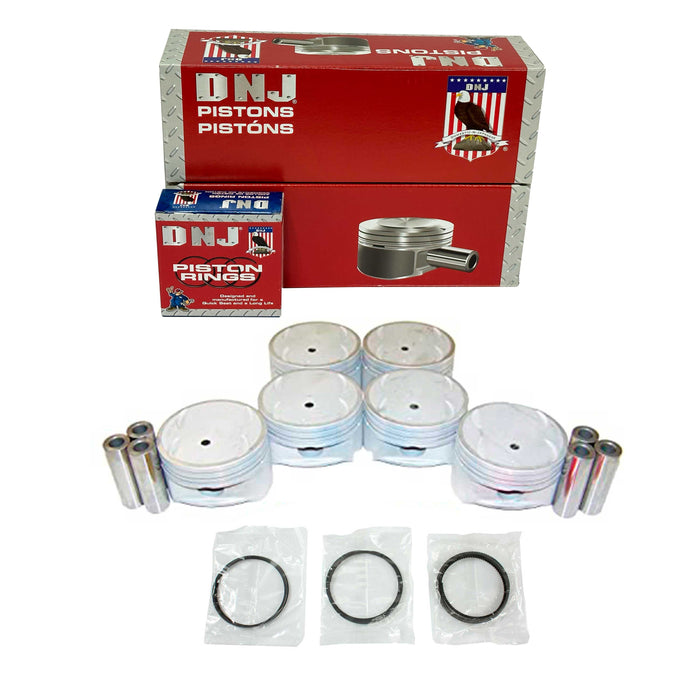 Piston Set w/ Rings