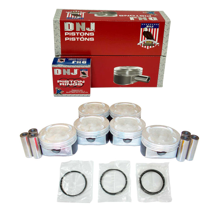 Piston Set w/ Rings