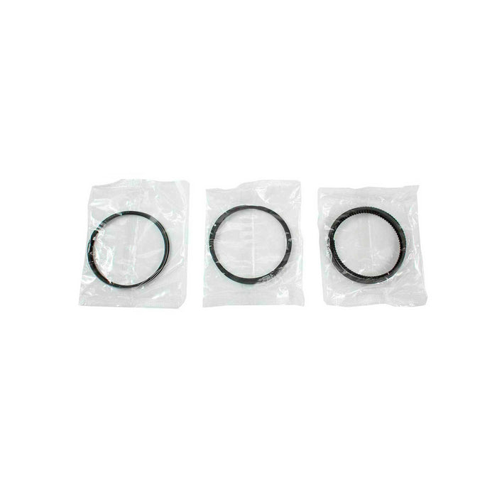 Piston Set w/ Rings