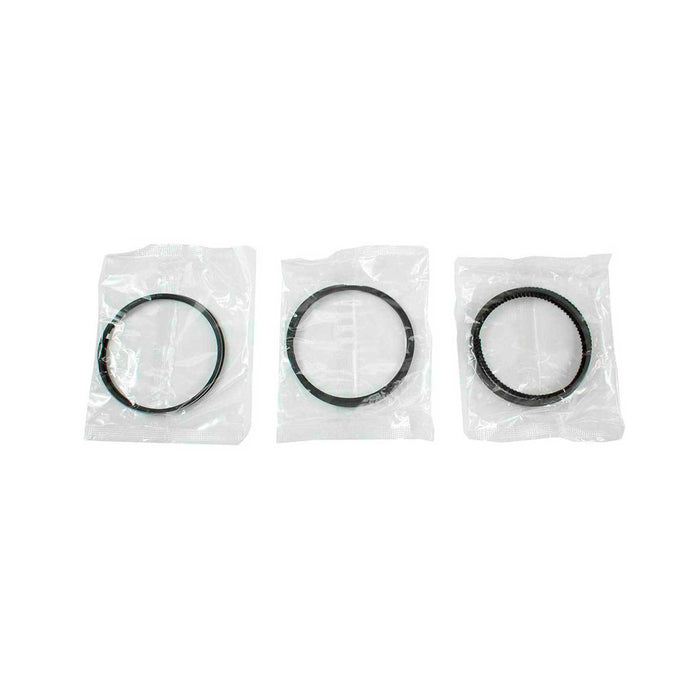 Piston Set w/ Rings