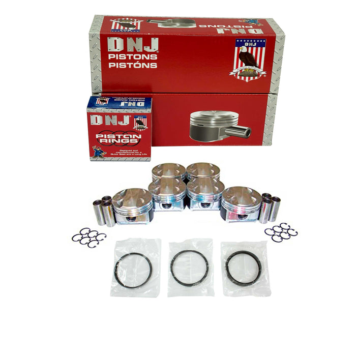 Piston Set w/ Rings