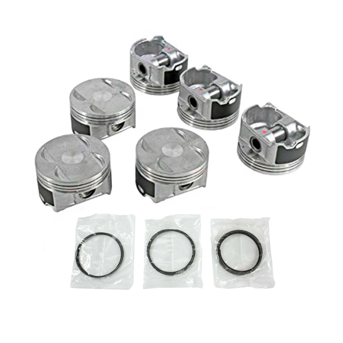 Piston Set w/ Rings