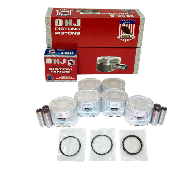 Piston Set w/ Rings